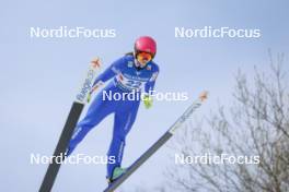 24.02.2024, Hinzenbach, Austria (AUT): Anna Twardosz (POL) - FIS world cup ski jumping women, individual HS90, Hinzenbach (AUT). www.nordicfocus.com. © Volk/NordicFocus. Every downloaded picture is fee-liable