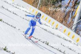 25.02.2024, Hinzenbach, Austria (AUT): Sina Arnet (SUI) - FIS world cup ski jumping women, individual HS90, Hinzenbach (AUT). www.nordicfocus.com. © Volk/NordicFocus. Every downloaded picture is fee-liable