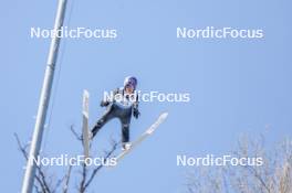 25.02.2024, Hinzenbach, Austria (AUT): Sara Takanashi (JPN) - FIS world cup ski jumping women, individual HS90, Hinzenbach (AUT). www.nordicfocus.com. © Volk/NordicFocus. Every downloaded picture is fee-liable