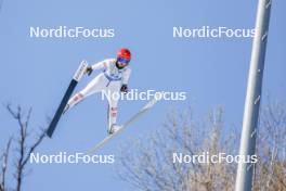 25.02.2024, Hinzenbach, Austria (AUT): Julia Muehlbacher (AUT) - FIS world cup ski jumping women, individual HS90, Hinzenbach (AUT). www.nordicfocus.com. © Volk/NordicFocus. Every downloaded picture is fee-liable