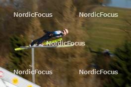 25.02.2024, Hinzenbach, Austria (AUT): Marita Kramer (AUT) - FIS world cup ski jumping women, individual HS90, Hinzenbach (AUT). www.nordicfocus.com. © Volk/NordicFocus. Every downloaded picture is fee-liable.