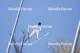25.02.2024, Hinzenbach, Austria (AUT): Qi Liu (CHN) - FIS world cup ski jumping women, individual HS90, Hinzenbach (AUT). www.nordicfocus.com. © Volk/NordicFocus. Every downloaded picture is fee-liable
