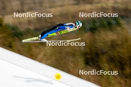 25.02.2024, Hinzenbach, Austria (AUT): Nika Kriznar (SLO) - FIS world cup ski jumping women, individual HS90, Hinzenbach (AUT). www.nordicfocus.com. © Volk/NordicFocus. Every downloaded picture is fee-liable.