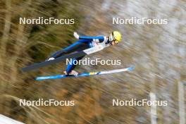 25.02.2024, Hinzenbach, Austria (AUT): Jenny Rautionaho (FIN) - FIS world cup ski jumping women, individual HS90, Hinzenbach (AUT). www.nordicfocus.com. © Volk/NordicFocus. Every downloaded picture is fee-liable.