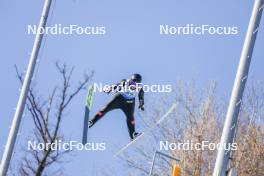 25.02.2024, Hinzenbach, Austria (AUT): Silje Opseth (NOR) - FIS world cup ski jumping women, individual HS90, Hinzenbach (AUT). www.nordicfocus.com. © Volk/NordicFocus. Every downloaded picture is fee-liable