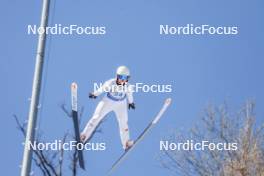 25.02.2024, Hinzenbach, Austria (AUT): Klara Ulrichova (CZE) - FIS world cup ski jumping women, individual HS90, Hinzenbach (AUT). www.nordicfocus.com. © Volk/NordicFocus. Every downloaded picture is fee-liable
