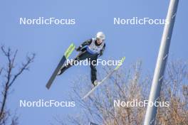 25.02.2024, Hinzenbach, Austria (AUT): Annika Sieff (ITA) - FIS world cup ski jumping women, individual HS90, Hinzenbach (AUT). www.nordicfocus.com. © Volk/NordicFocus. Every downloaded picture is fee-liable