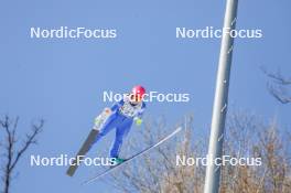 25.02.2024, Hinzenbach, Austria (AUT): Anna Twardosz (POL) - FIS world cup ski jumping women, individual HS90, Hinzenbach (AUT). www.nordicfocus.com. © Volk/NordicFocus. Every downloaded picture is fee-liable
