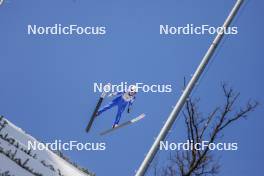 25.02.2024, Hinzenbach, Austria (AUT): Pola Beltowska (POL) - FIS world cup ski jumping women, individual HS90, Hinzenbach (AUT). www.nordicfocus.com. © Volk/NordicFocus. Every downloaded picture is fee-liable