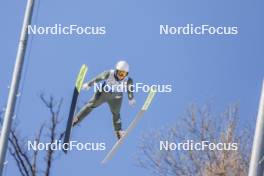 25.02.2024, Hinzenbach, Austria (AUT): Paige Jones (USA) - FIS world cup ski jumping women, individual HS90, Hinzenbach (AUT). www.nordicfocus.com. © Volk/NordicFocus. Every downloaded picture is fee-liable