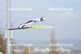25.02.2024, Hinzenbach, Austria (AUT): Lisa Eder (AUT) - FIS world cup ski jumping women, individual HS90, Hinzenbach (AUT). www.nordicfocus.com. © Volk/NordicFocus. Every downloaded picture is fee-liable.