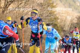 28.01.2024, Trentino, Italy (ITA): Amund Riege (NOR) - Ski Classics Marcialonga, Trentino (ITA). www.nordicfocus.com. © Vanzetta/NordicFocus. Every downloaded picture is fee-liable.
