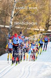 28.01.2024, Trentino, Italy (ITA): Johan Hoel (NOR), Alvar Myhlback (SWE), Emil Persson (SWE), Karstein Johaug (NOR), Alfred Buskqvist (SWE), Amund Riege (NOR), (l-r) - Ski Classics Marcialonga, Trentino (ITA). www.nordicfocus.com. © Vanzetta/NordicFocus. Every downloaded picture is fee-liable.