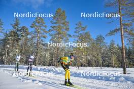 17.02.2024, Groenklitt, Sweden (SWE): Elias Andersson (SWE), Marcus Johansson (SWE), Amund Hoel (NOR), (l-r) - Ski Classics Groenklitt Classic Orsa - Groenklitt (SWE). www.nordicfocus.com. © Reichert/NordicFocus. Every downloaded picture is fee-liable.