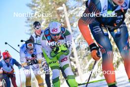 17.02.2024, Groenklitt, Sweden (SWE): Thomas Bing (GER) - Ski Classics Groenklitt Classic Orsa - Groenklitt (SWE). www.nordicfocus.com. © Reichert/NordicFocus. Every downloaded picture is fee-liable.