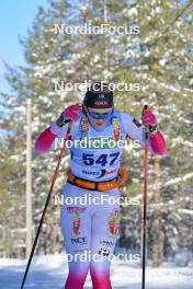17.02.2024, Groenklitt, Sweden (SWE): Vilma Kanerva (FIN) - Ski Classics Groenklitt Classic Orsa - Groenklitt (SWE). www.nordicfocus.com. © Reichert/NordicFocus. Every downloaded picture is fee-liable.