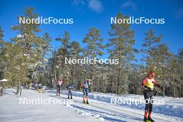 17.02.2024, Groenklitt, Sweden (SWE): Andreas Nygaard (NOR), Max Novak (SWE), Kasper Stadaas (NOR), (l-r) - Ski Classics Groenklitt Classic Orsa - Groenklitt (SWE). www.nordicfocus.com. © Reichert/NordicFocus. Every downloaded picture is fee-liable.