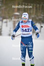 18.02.2024, Groenklitt, Sweden (SWE): Sofia Lindberg (SWE) - Ski Classics Groenklitt ITT Orsa - Groenklitt (SWE). www.nordicfocus.com. © Reichert/NordicFocus. Every downloaded picture is fee-liable.