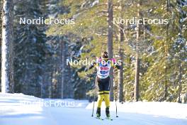 18.02.2024, Groenklitt, Sweden (SWE): Tove Ericsson (SWE) - Ski Classics Groenklitt ITT Orsa - Groenklitt (SWE). www.nordicfocus.com. © Reichert/NordicFocus. Every downloaded picture is fee-liable.