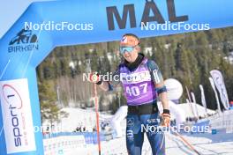 17.03.2024, Rena-Lillehammer, Norway (NOR): Silje Oeyre Slind (NOR) - Ski Classics Birkebeinerrennet, Rena-Lillehammer (NOR). www.nordicfocus.com. © Reichert/NordicFocus. Every downloaded picture is fee-liable.