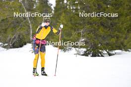 15.03.2024, Rena-Lillehammer, Norway (NOR): Emilie Fleten (NOR) - training, Ski Classics Birkebeinerrennet,  Rena-Lillehammer (NOR). www.nordicfocus.com. © Reichert/NordicFocus. Every downloaded picture is fee-liable.