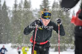 15.03.2024, Rena-Lillehammer, Norway (NOR): Hanna Lodin (SWE) - training, Ski Classics Birkebeinerrennet,  Rena-Lillehammer (NOR). www.nordicfocus.com. © Reichert/NordicFocus. Every downloaded picture is fee-liable.