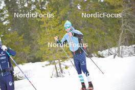 15.03.2024, Rena-Lillehammer, Norway (NOR): Yan Belorgey (FRA) - training, Ski Classics Birkebeinerrennet,  Rena-Lillehammer (NOR). www.nordicfocus.com. © Reichert/NordicFocus. Every downloaded picture is fee-liable.