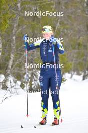 15.03.2024, Rena-Lillehammer, Norway (NOR): Madelene Melin (SWE) - training, Ski Classics Birkebeinerrennet,  Rena-Lillehammer (NOR). www.nordicfocus.com. © Reichert/NordicFocus. Every downloaded picture is fee-liable.