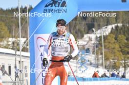 17.03.2024, Rena-Lillehammer, Norway (NOR): Tord Asle Gjerdalen (NOR) - Ski Classics Birkebeinerrennet, Rena-Lillehammer (NOR). www.nordicfocus.com. © Reichert/NordicFocus. Every downloaded picture is fee-liable.