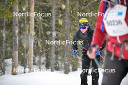 15.03.2024, Rena-Lillehammer, Norway (NOR): Ida Dahl (SWE) - training, Ski Classics Birkebeinerrennet,  Rena-Lillehammer (NOR). www.nordicfocus.com. © Reichert/NordicFocus. Every downloaded picture is fee-liable.