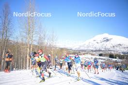 06.04.2024, Setermoen-Bardufoss, Norway (NOR): Astrid Oeyre Slind (NOR), Emilie Fleten (NOR), Anikken Gjerede Alnes (NOR), Victoria Carl (GER), Sofie Elebro (SWE), Jenny Larsson (SWE), Magni Smedas (NOR), Silje Oeyre Slind (NOR), (l-r) - Ski Classics Reistadlopet, Setermoen-Bardufoss (NOR). www.nordicfocus.com. © Reichert/NordicFocus. Every downloaded picture is fee-liable.