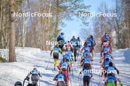 06.04.2024, Setermoen-Bardufoss, Norway (NOR): Hanna Lodin (SWE), Kati Roivas (FIN), Victoria Carl (GER), Julie Kvale Stoestad (NOR), Magni Smedaas (NOR), Oda Nerdrum (NOR), Sofie Elebro (SWE), Astrid Oeyre Slind (NOR), Jenny Larsson (SWE), Karolina Grohova (CZE), Marie Renee Soerum Gangsoe (NOR), Katerina Janatova (CZE), Guro Jordheim (NOR), Julie Hammer (NOR), Leonie Harivel (FRA), Katri Lylynpera (FIN), Linnea Johansson (SWE), (l-r) - Ski Classics Reistadlopet, Setermoen-Bardufoss (NOR). www.nordicfocus.com. © Reichert/NordicFocus. Every downloaded picture is fee-liable.
