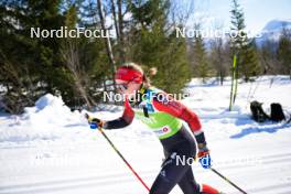 06.04.2024, Setermoen-Bardufoss, Norway (NOR): Anikken Gjerde Alnes (NOR) - Ski Classics Reistadlopet, Setermoen-Bardufoss (NOR). www.nordicfocus.com. © Reichert/NordicFocus. Every downloaded picture is fee-liable.