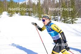 06.04.2024, Setermoen-Bardufoss, Norway (NOR): Hanna Lodin (SWE) - Ski Classics Reistadlopet, Setermoen-Bardufoss (NOR). www.nordicfocus.com. © Reichert/NordicFocus. Every downloaded picture is fee-liable.