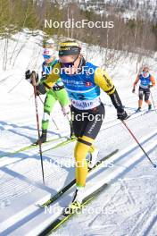 06.04.2024, Setermoen-Bardufoss, Norway (NOR): Hanna Lodin (SWE) - Ski Classics Reistadlopet, Setermoen-Bardufoss (NOR). www.nordicfocus.com. © Reichert/NordicFocus. Every downloaded picture is fee-liable.