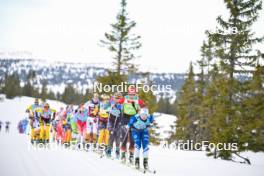 13.04.2024, Hafjell, Norway (NOR): Ida Dahl (SWE), Kati Roivas (FIN), Emilie Fleten (NOR), Anikken Gjerede Alnes (NOR), Sofia Lindberg (SWE), (l-r) - Ski Classics Grand Finale Janteloppet - Hafjell (NOR). www.nordicfocus.com. © Reichert/NordicFocus. Every downloaded picture is fee-liable.