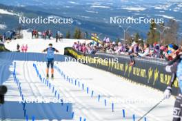13.04.2024, Hafjell, Norway (NOR): Max Novak (SWE) - Ski Classics Grand Finale Janteloppet - Hafjell (NOR). www.nordicfocus.com. © Reichert/NordicFocus. Every downloaded picture is fee-liable.
