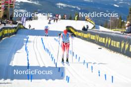 13.04.2024, Hafjell, Norway (NOR): Undefined swiss athlete competes - Ski Classics Grand Finale Janteloppet - Hafjell (NOR). www.nordicfocus.com. © Reichert/NordicFocus. Every downloaded picture is fee-liable.