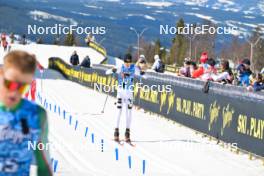 13.04.2024, Hafjell, Norway (NOR): Leopold Strand (NOR) - Ski Classics Grand Finale Janteloppet - Hafjell (NOR). www.nordicfocus.com. © Reichert/NordicFocus. Every downloaded picture is fee-liable.