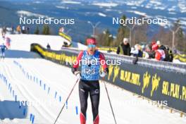 13.04.2024, Hafjell, Norway (NOR): Andre Haugsboe (NOR) - Ski Classics Grand Finale Janteloppet - Hafjell (NOR). www.nordicfocus.com. © Reichert/NordicFocus. Every downloaded picture is fee-liable.