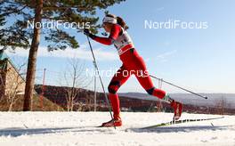 11.03.2012, Oslo, Norway (NOR):  Britt Ingunn Nydal (NOR), Fischer, Swix, Alpina, Rottefella - FIS world cup cross-country, 30km mass women, Oslo (NOR). www.nordicfocus.com.Â© Laiho/NordicFocus. Every downloaded picture is fee-liable.