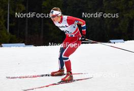 28.12.2013, Oberhof, Germany (GER): Ingvild Flugstad Oestberg (NOR) - FIS world cup cross-country, tour de ski, prologue women, Oberhof (GER). www.nordicfocus.com. © Felgenhauer/NordicFocus. Every downloaded picture is fee-liable.