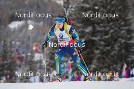 16.01.2014, Antholz, Italy (ITA): Elisabeth Hoegberg (SWE) - IBU world cup biathlon, sprint women, Antholz (ITA). www.nordicfocus.com. © Manzoni/NordicFocus. Every downloaded picture is fee-liable.