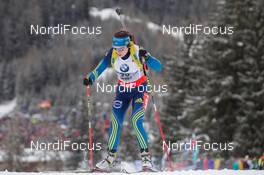 16.01.2014, Antholz, Italy (ITA): Elisabeth Hoegberg (SWE) - IBU world cup biathlon, sprint women, Antholz (ITA). www.nordicfocus.com. © Manzoni/NordicFocus. Every downloaded picture is fee-liable.