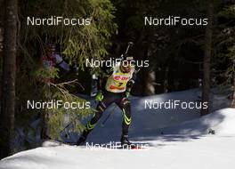 08.03.2014, Pokljuka, Slovenia (SLO): Martin Fourcade (FRA) - IBU world cup biathlon, pursuit men, Pokljuka (SLO). www.nordicfocus.com. © Manzoni/NordicFocus. Every downloaded picture is fee-liable.