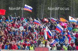 08.03.2014, Pokljuka, Slovenia (SLO): Event Feature: Fans with russian flags - IBU world cup biathlon, pursuit men, Pokljuka (SLO). www.nordicfocus.com. © Manzoni/NordicFocus. Every downloaded picture is fee-liable.