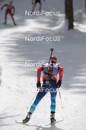 06.03.2014, Pokljuka, Slovenia (SLO): Anton Shipulin (RUS) - IBU world cup biathlon, sprint men, Pokljuka (SLO). www.nordicfocus.com. © Manzoni/NordicFocus. Every downloaded picture is fee-liable.