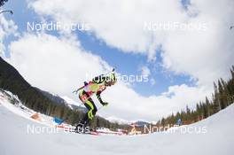 06.03.2014, Pokljuka, Slovenia (SLO): Martin Fourcade (FRA) - IBU world cup biathlon, sprint men, Pokljuka (SLO). www.nordicfocus.com. © Manzoni/NordicFocus. Every downloaded picture is fee-liable.
