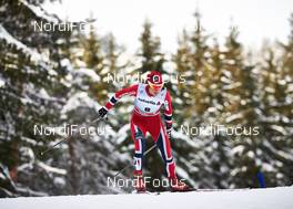 03.01.2014, Cortina-Toblach, Italy (ITA): Heidi Weng (NOR) - FIS world cup cross-country, tour de ski, pursuit women, Cortina-Toblach (ITA). www.nordicfocus.com. © Felgenhauer/NordicFocus. Every downloaded picture is fee-liable.