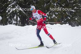01.02.2014, Toblach, Italy (ITA): Petter Northug (NOR) - FIS world cup cross-country, 15km men, Toblach (ITA). www.nordicfocus.com. © Manzoni/NordicFocus. Every downloaded picture is fee-liable.
